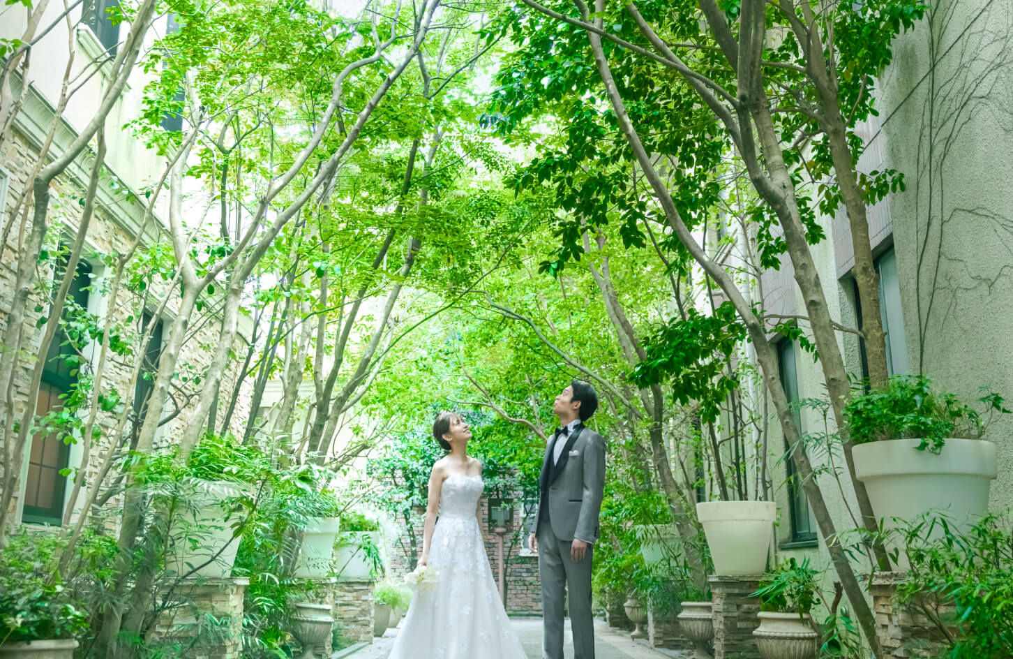 常緑樹に包まれた都心の隠れ家のイメージ