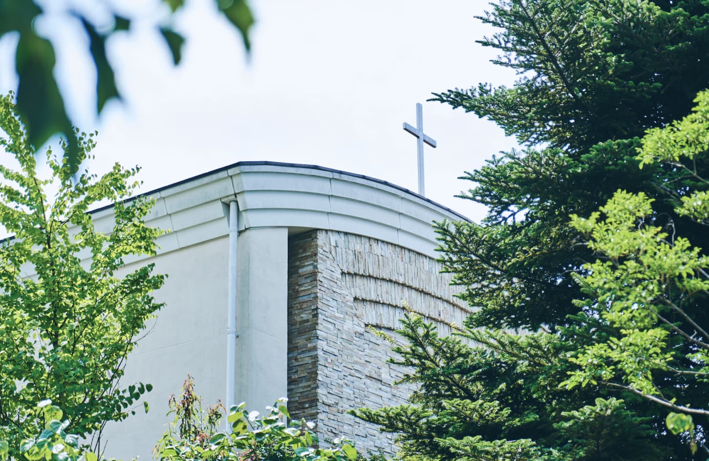 施設の歴史イメージ