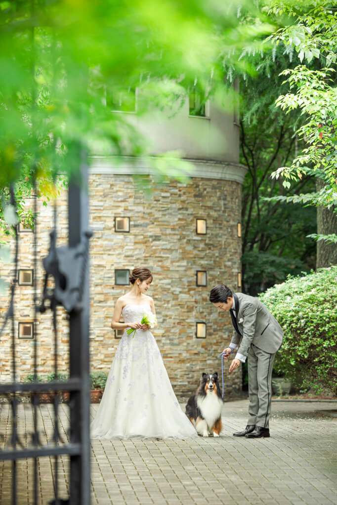 目白の森イメージ