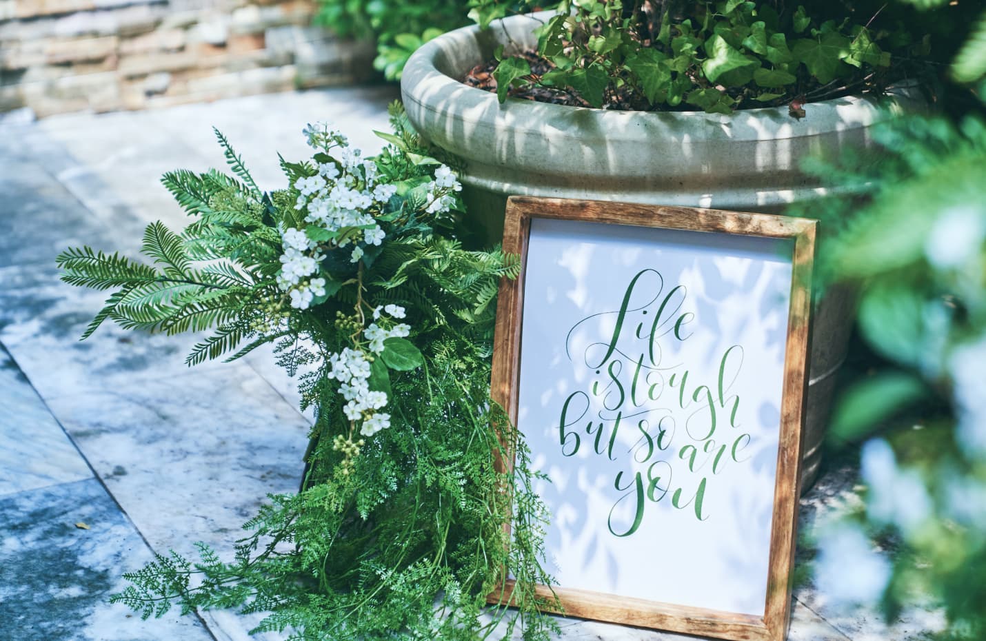 目白の森イメージ