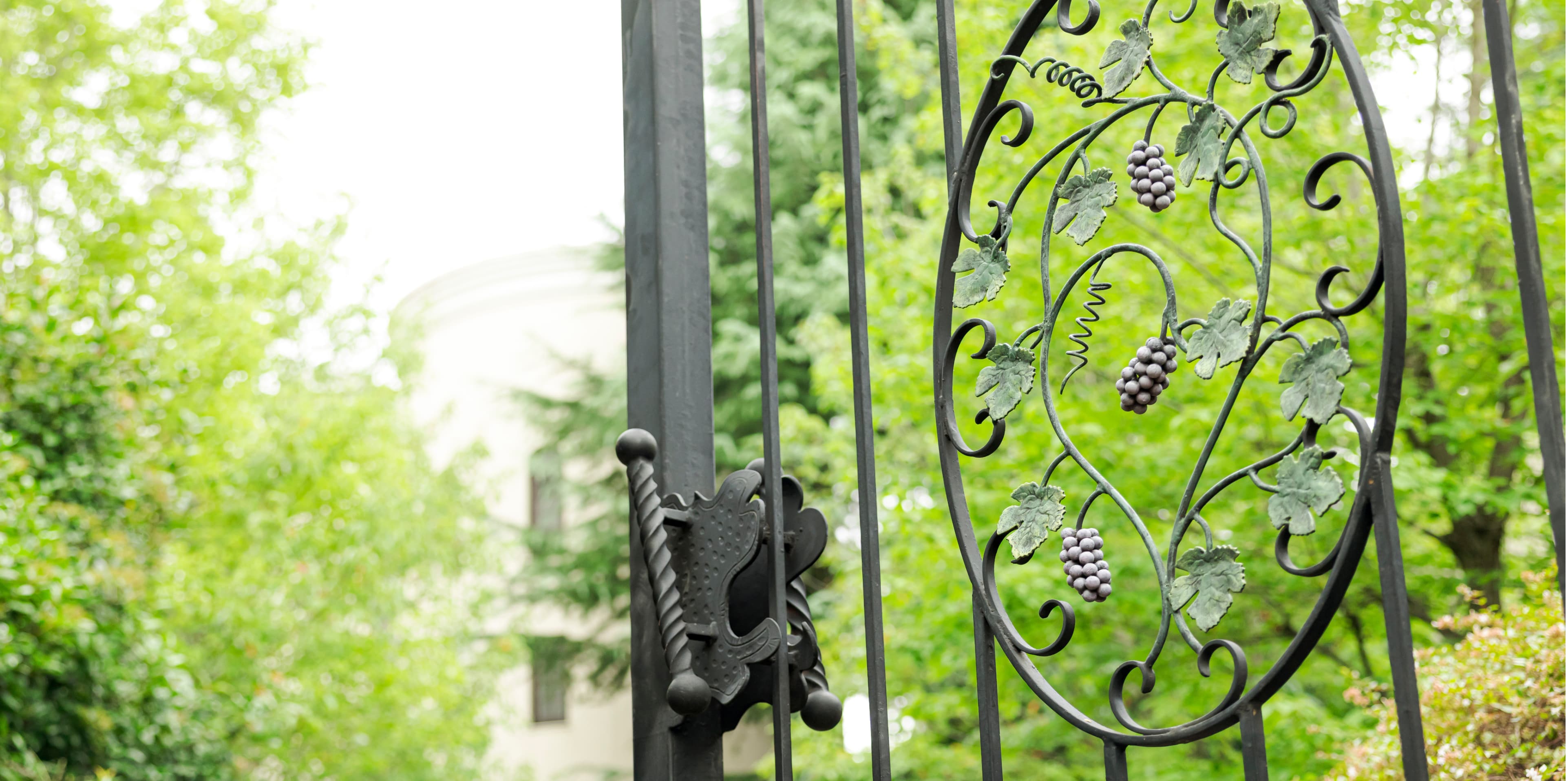 目白の森イメージ