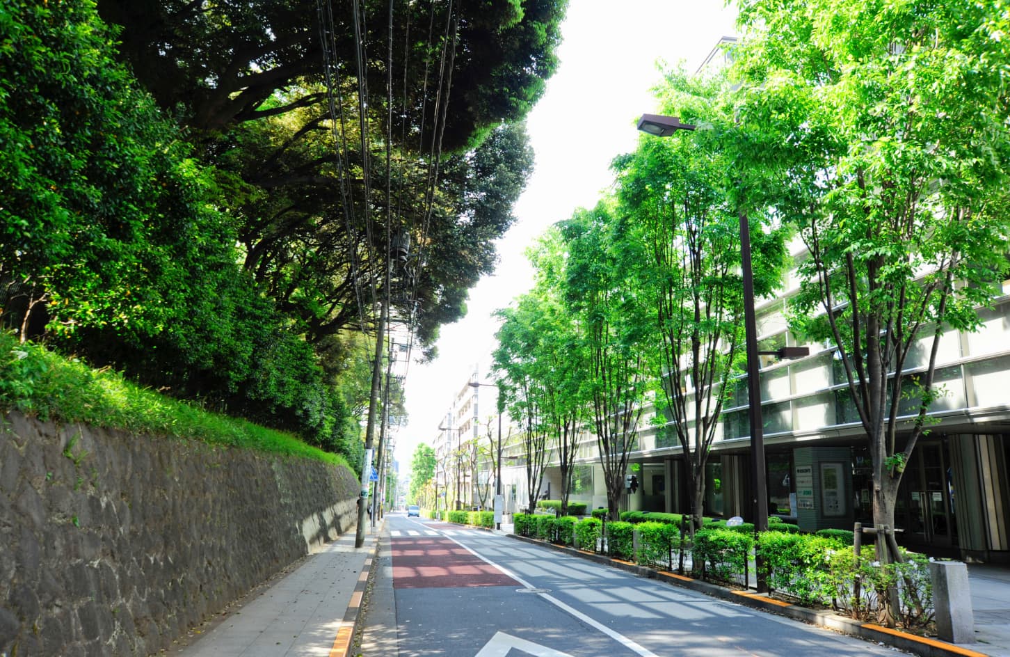 目白の街イメージ