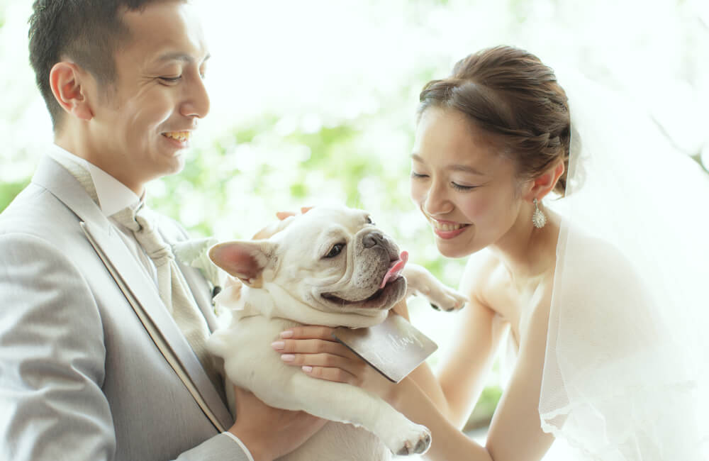 ペットウェディングイメージ