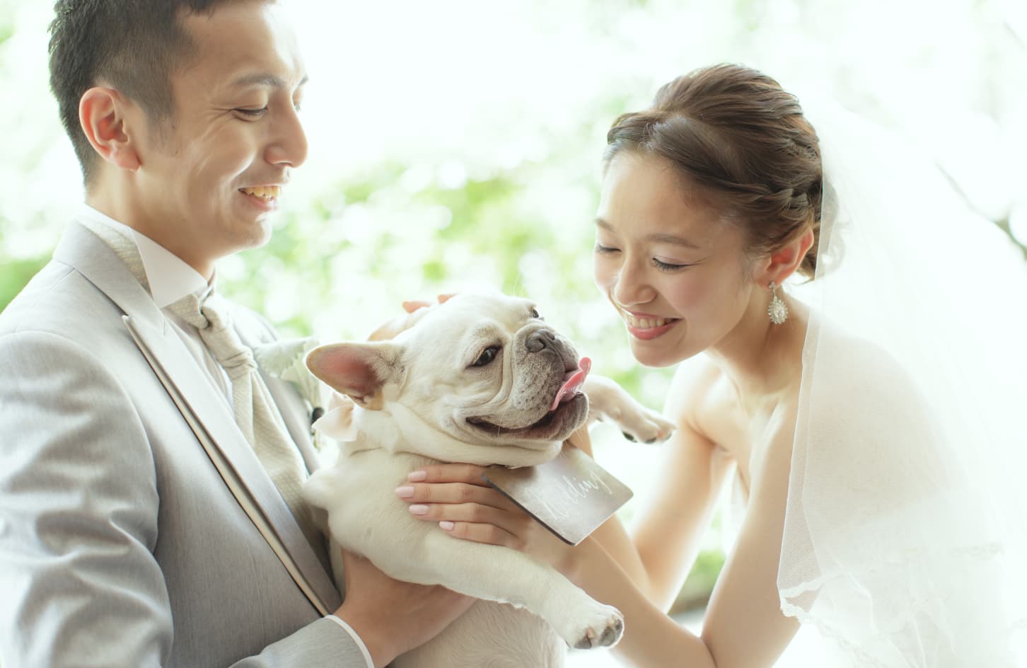 ペットウェディングイメージ