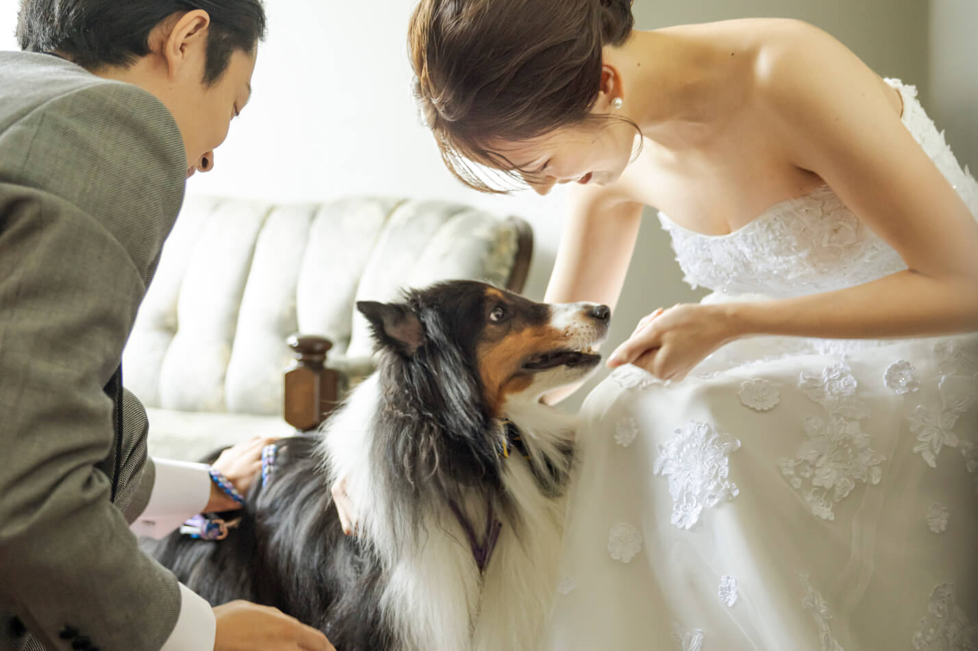 ご来館・お仕度スタートイメージ